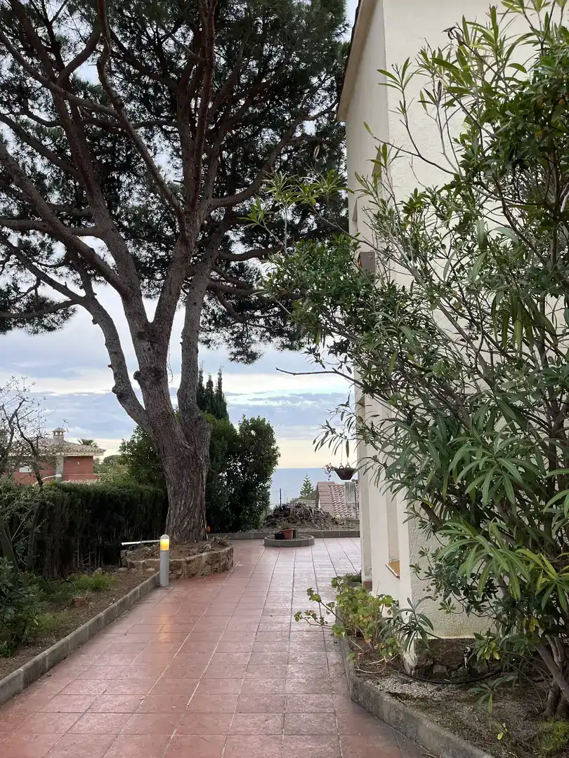 Jardín de Casa o chalet de alquiler en Tossa de Mar con Jardín privado y Amueblado