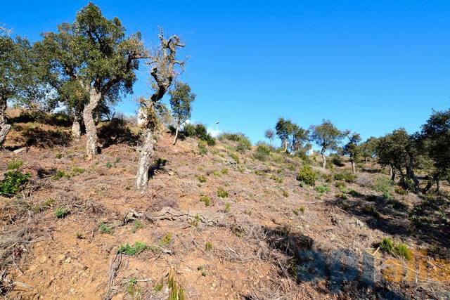 Terreno residencial en Venta en Carrer Avet en Mas Pere - Río de Oro