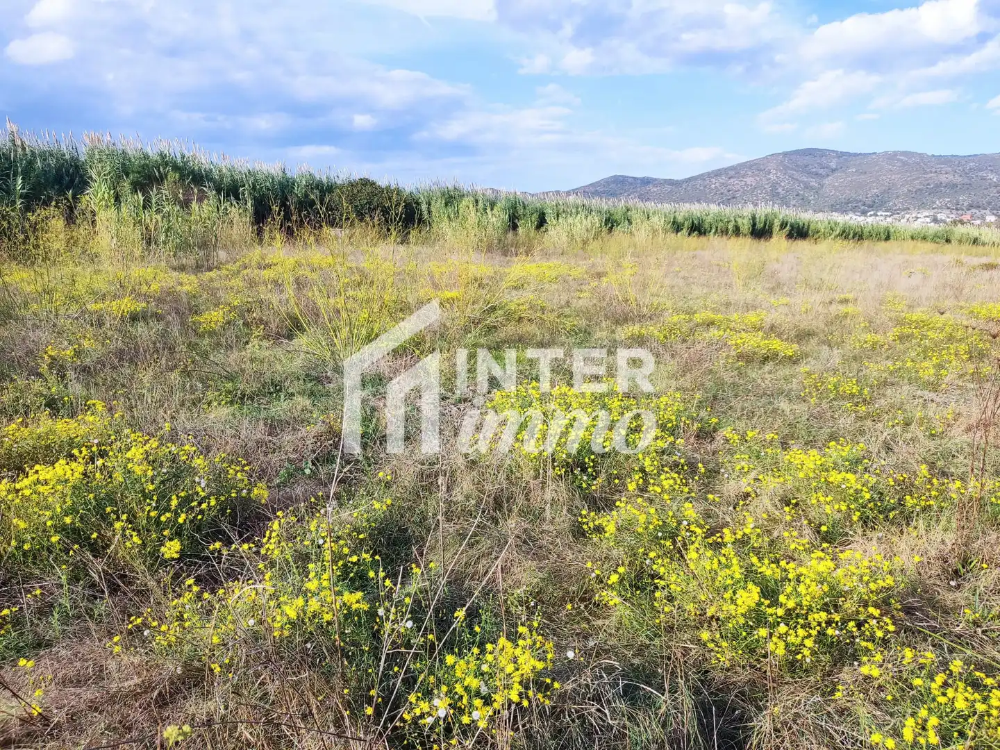 Residential land for sale in Carretera Vilamacolum 0, imagen 4