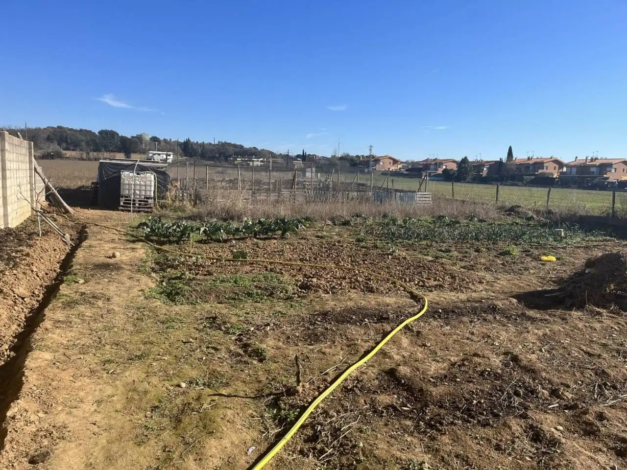 Landhaus zum Verkauf in Sant Gregori, imagen 5