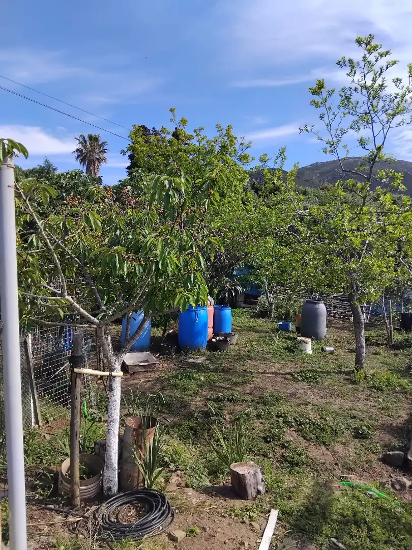 Jardí de Casa o xalet en venda en Tarifa amb Aire condicionat, Jardí privat i Parquet
