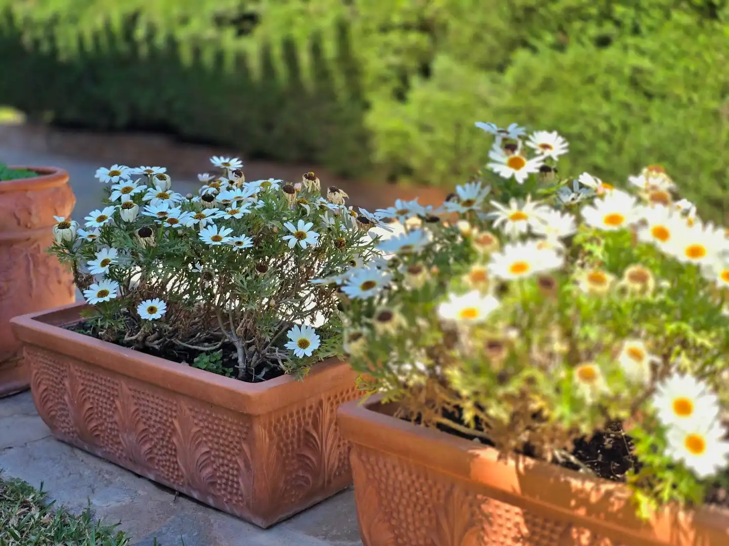 Garden of Houses for sale in Benalmádena  with Air Conditioner, Heating and Private garden