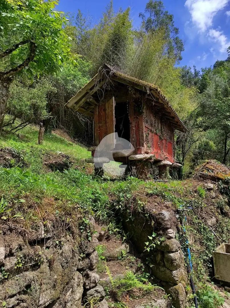 Vista exterior de Casa o chalet en venta en Mondariz con Jardín privado