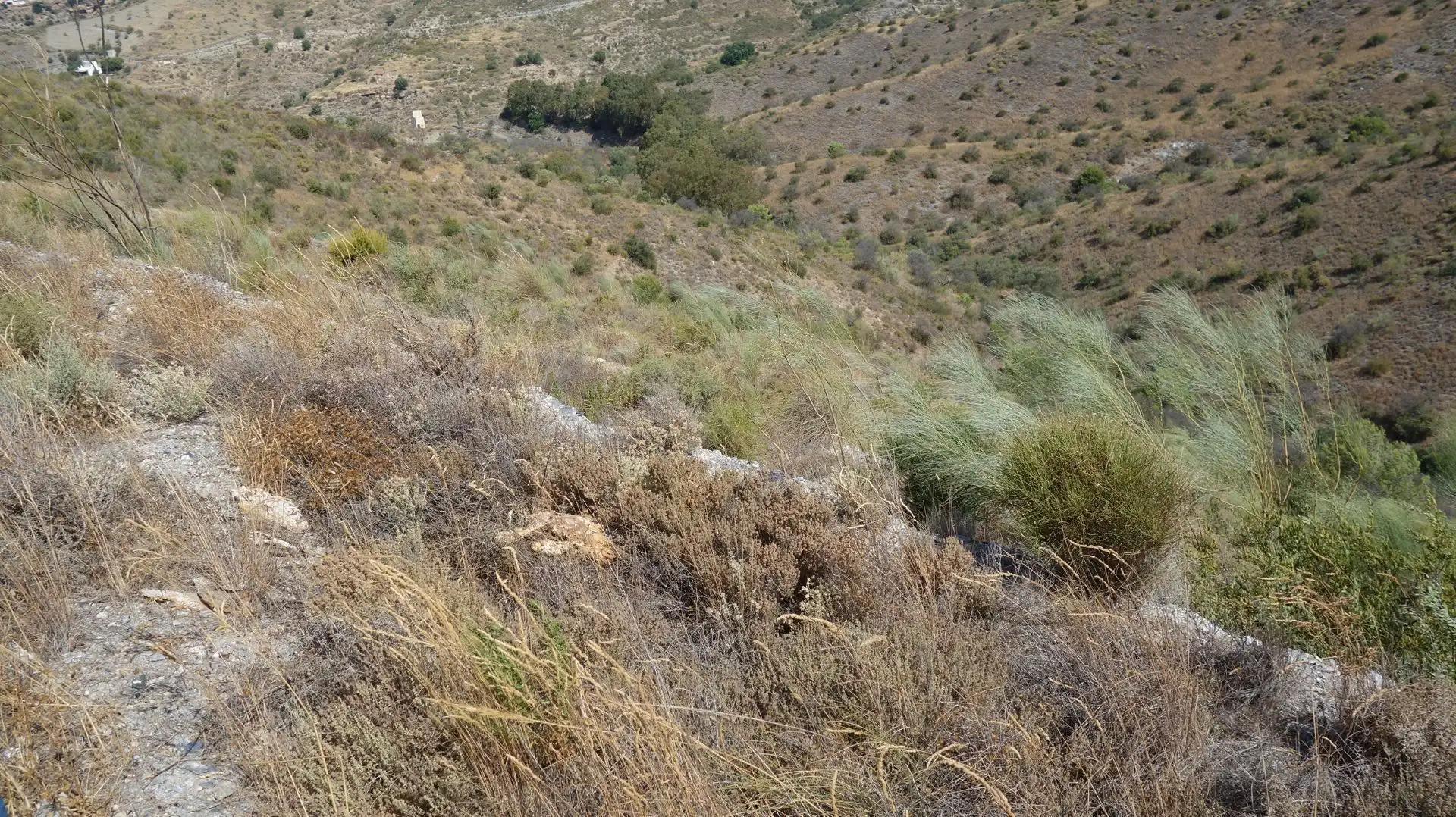 Finca rústica en venda en Motril amb Terrassa i Moblat