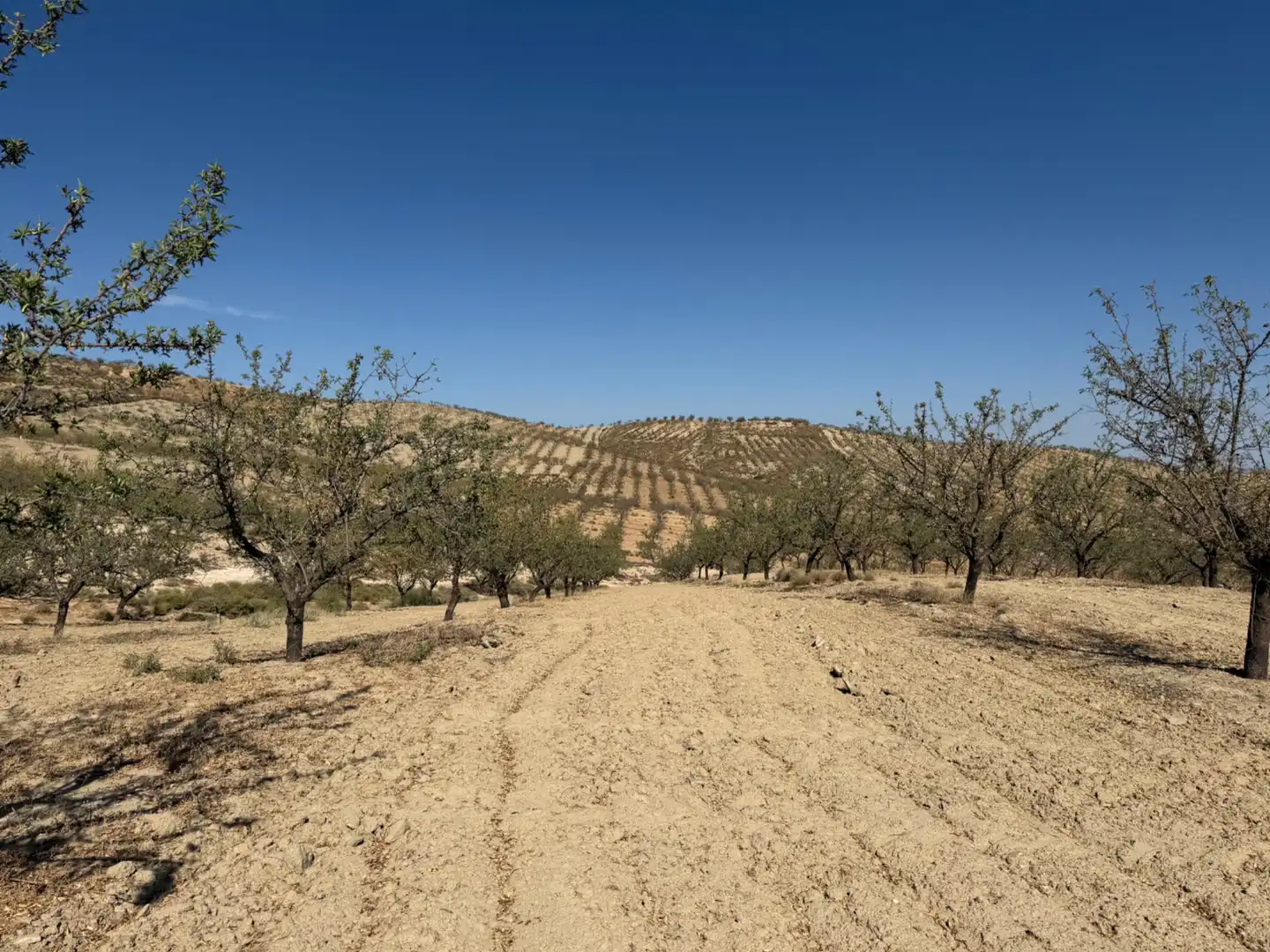 Terreno rustico in vendita a Camino de Alhendín, imagen 10