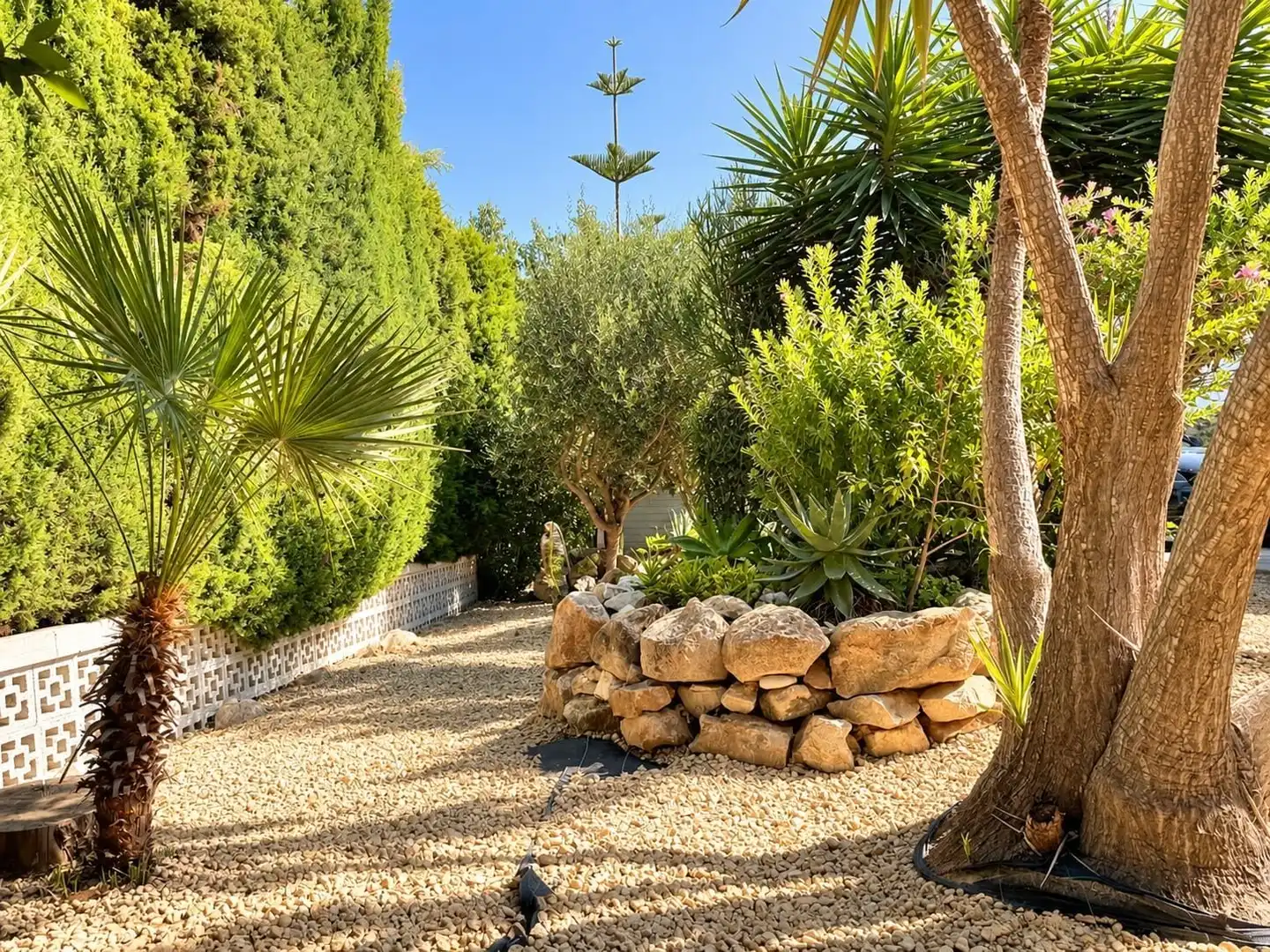 Jardí de Casa o xalet en venda en Cap Martí - El Tossalet - Pinomar