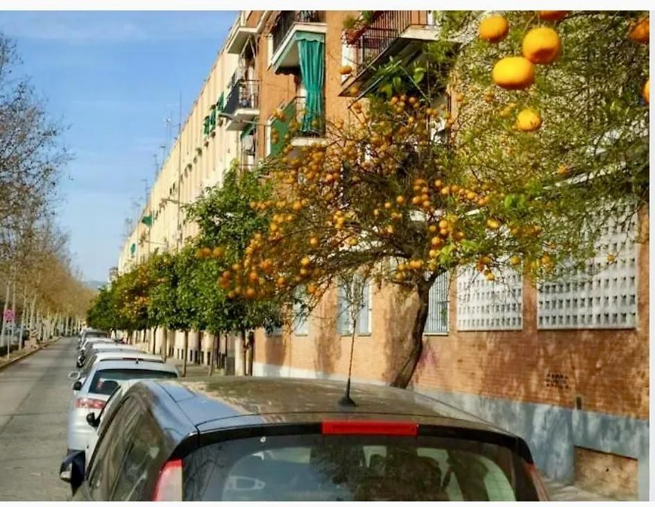 Exterior view of Building for sale in  Córdoba Capital