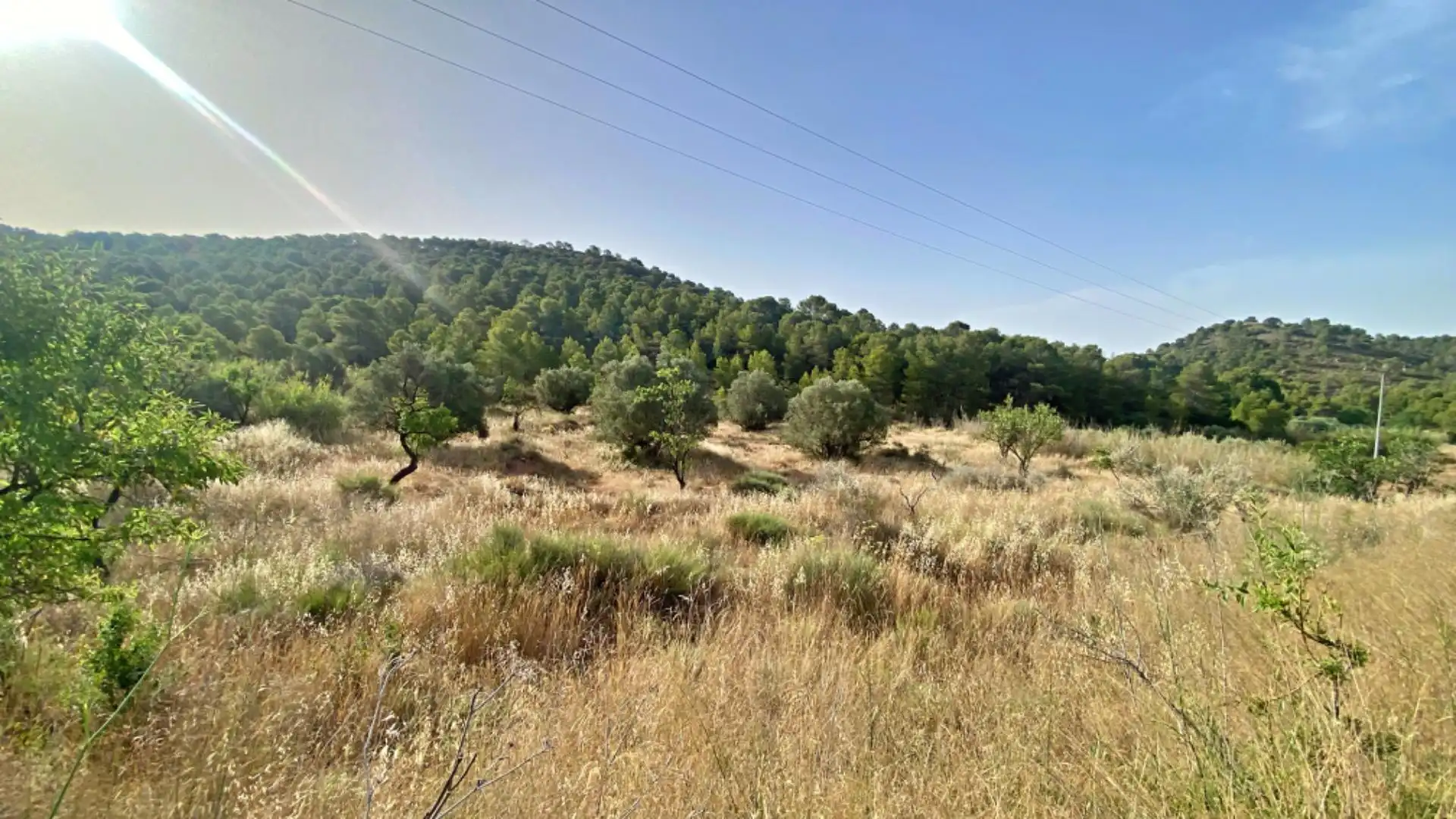 Country homes for sale in Totana