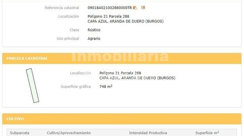 Este terreno se encuentra en la Carretera La Calabaza, sobre el tercer kilómetro. Son 3 parcelas colindantes que forman un total d, imatge 5