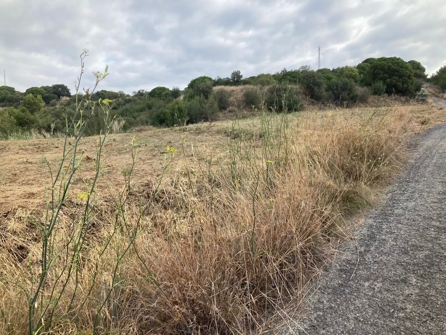 Terreno en venta en Pineda de Mar