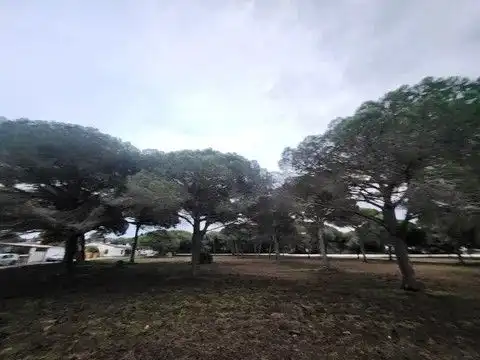 Terreni e lotti in vendita a carril del Pilahito 9, imagen 6