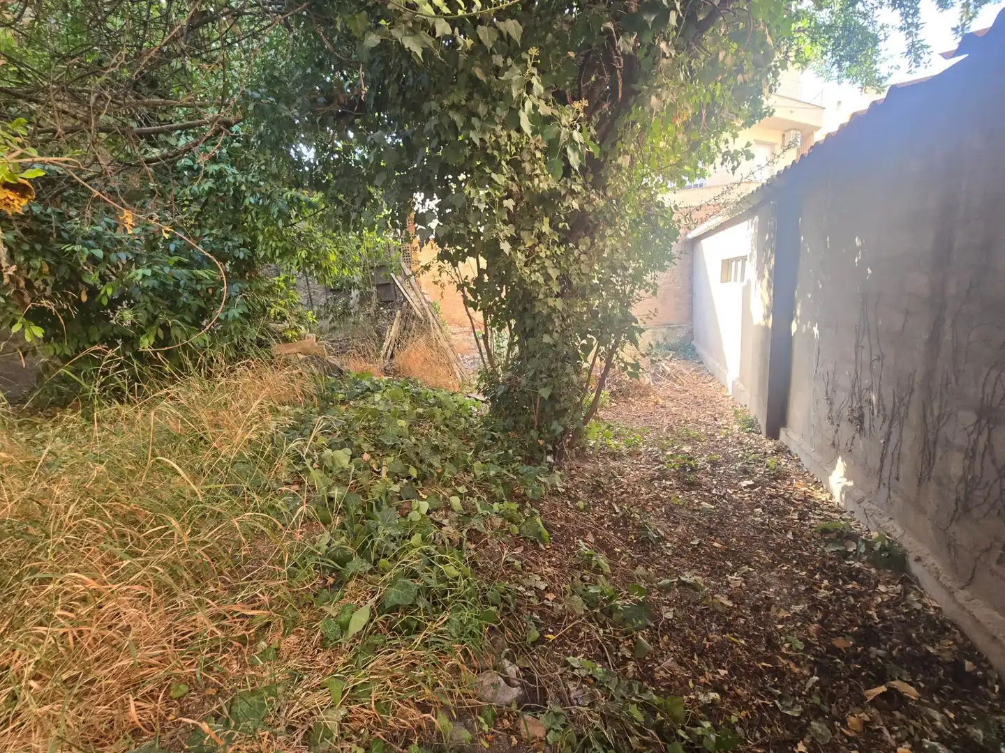 Casa en venta en Tàrrega, imagen 4