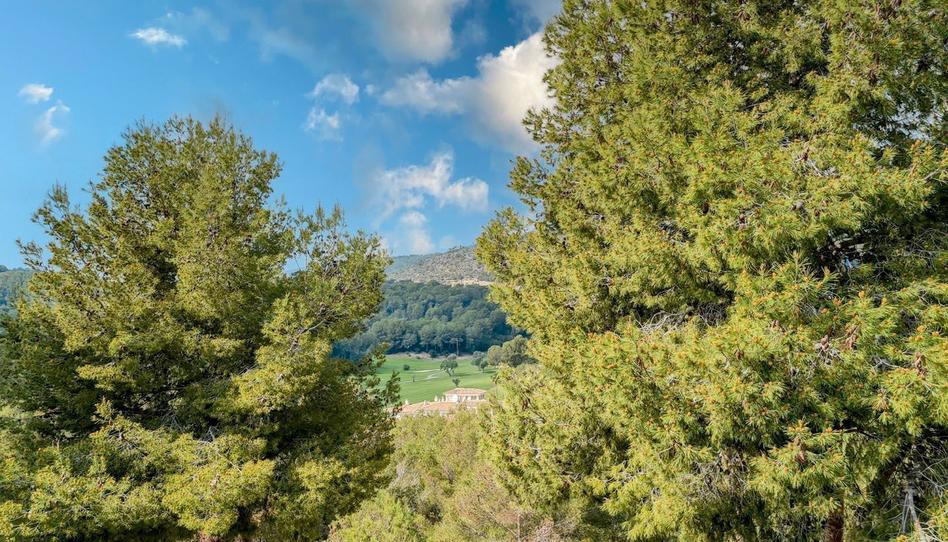 Photo 1 of Attic to rent in Cas Català - Illetes, Illes Balears