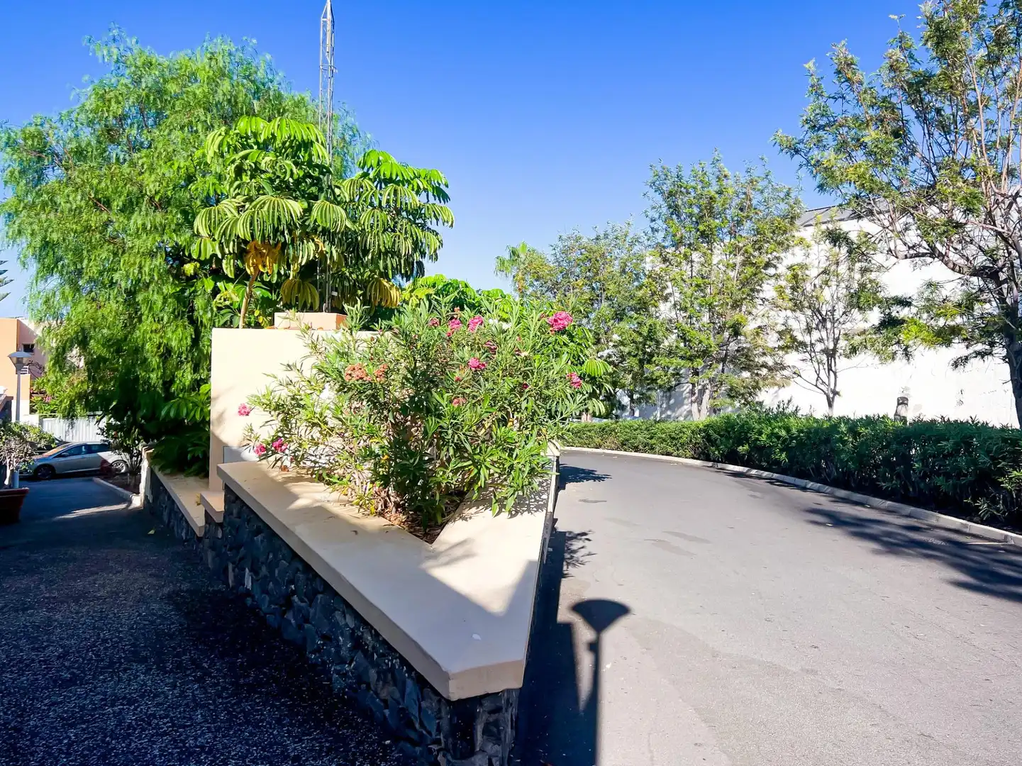 Vista exterior de Dúplex en venta en Adeje con Aire acondicionado, Jardín privado y Terraza