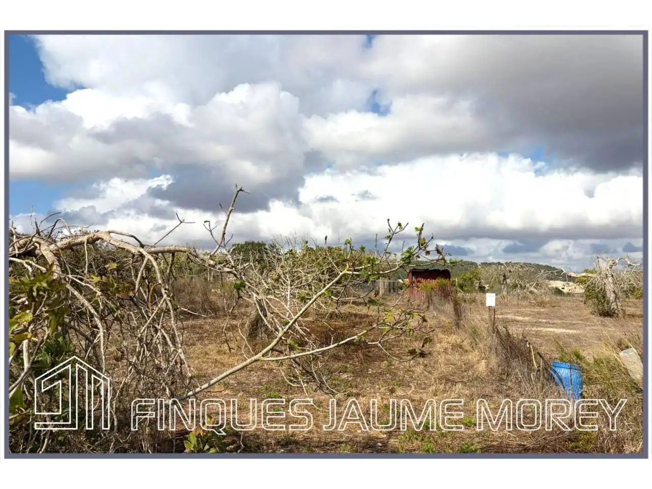 Finca rústica en venta en Maria de la Salut con Jardín privado