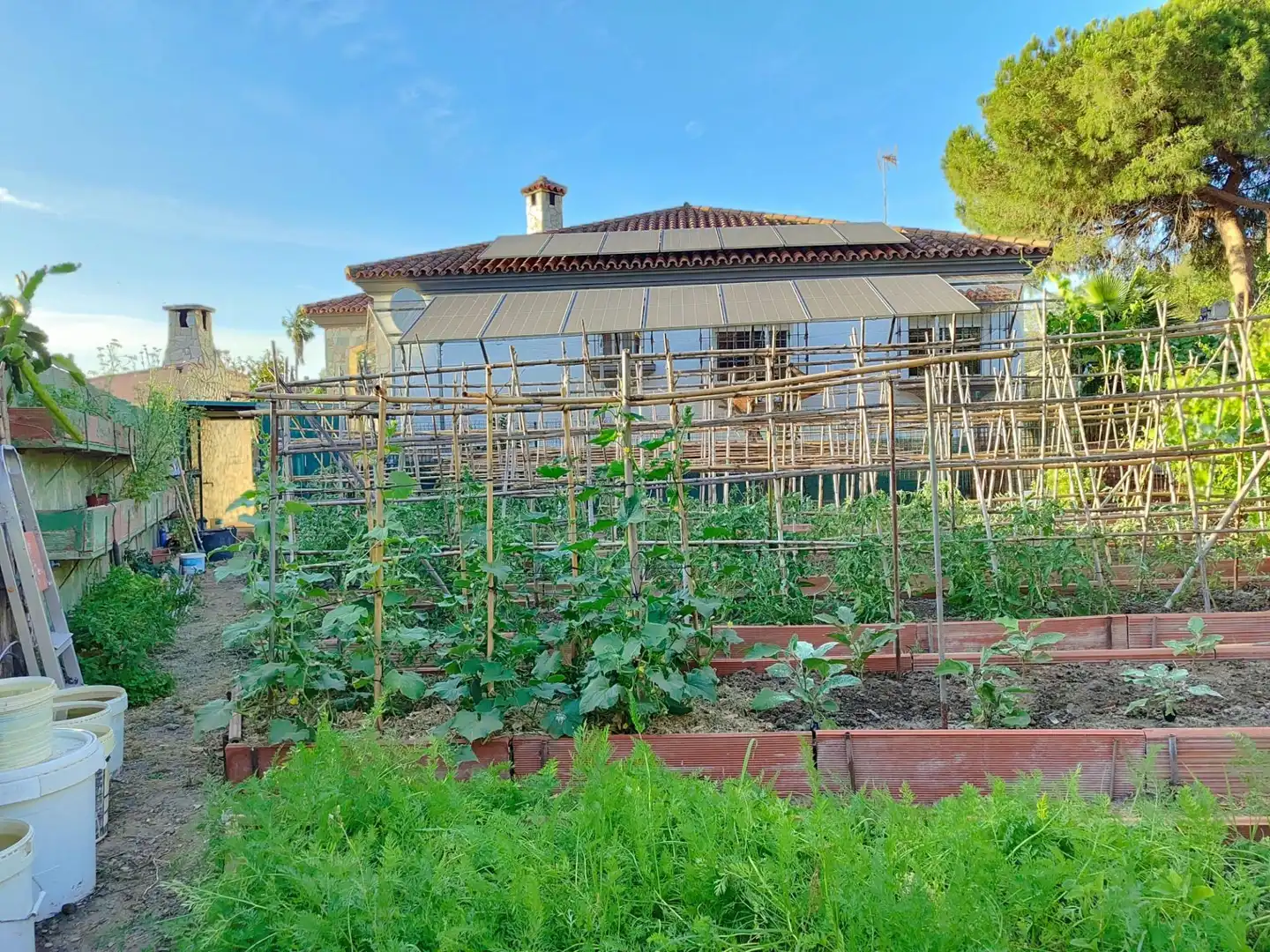 Jardí de Casa o xalet en venda en Algeciras