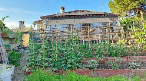 Foto 3 de Casa o xalet en venda a Los Pinos, Algeciras