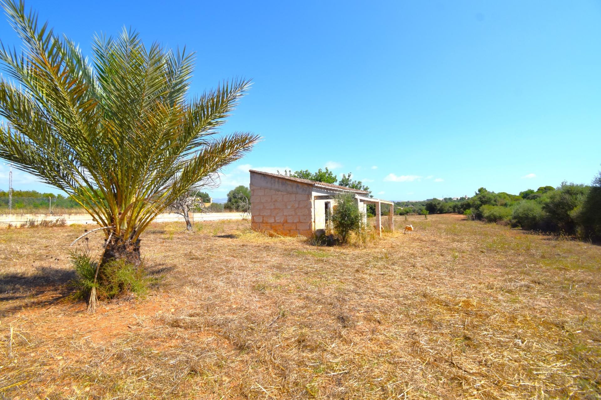 Casa o chalet en venta en Muro