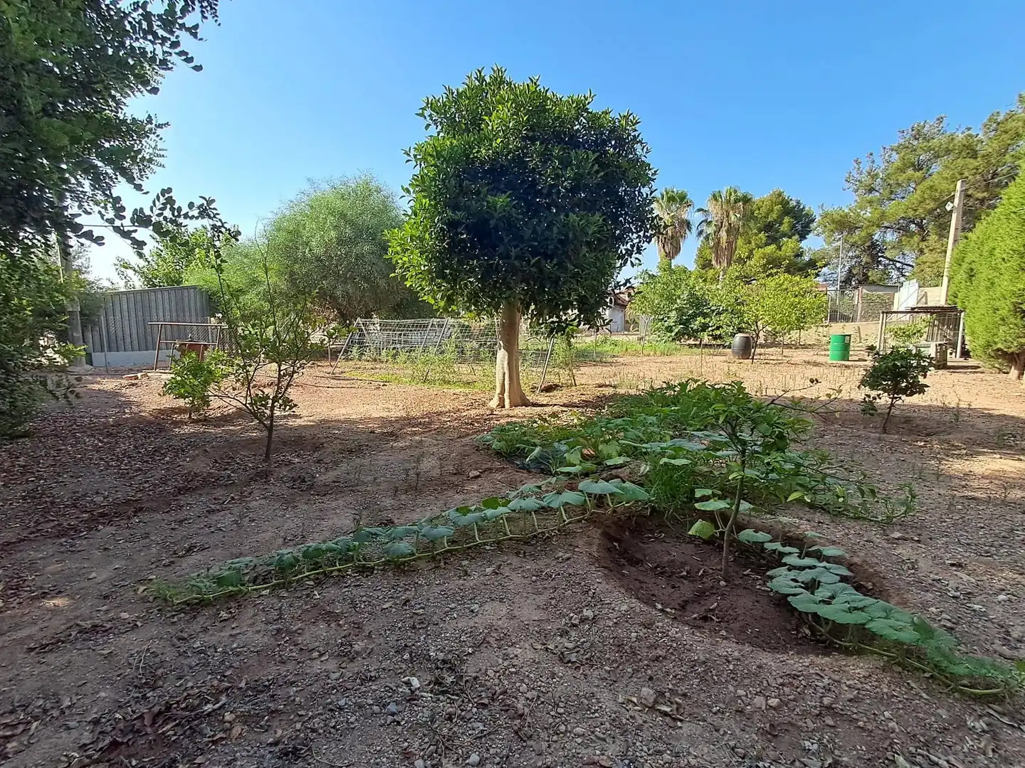 House with pool for sale in Camino DE LOS JABONEROS, imagen 14