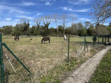 Terreni e lotti in vendita a Pría - Nueva-Hontoria - Naves