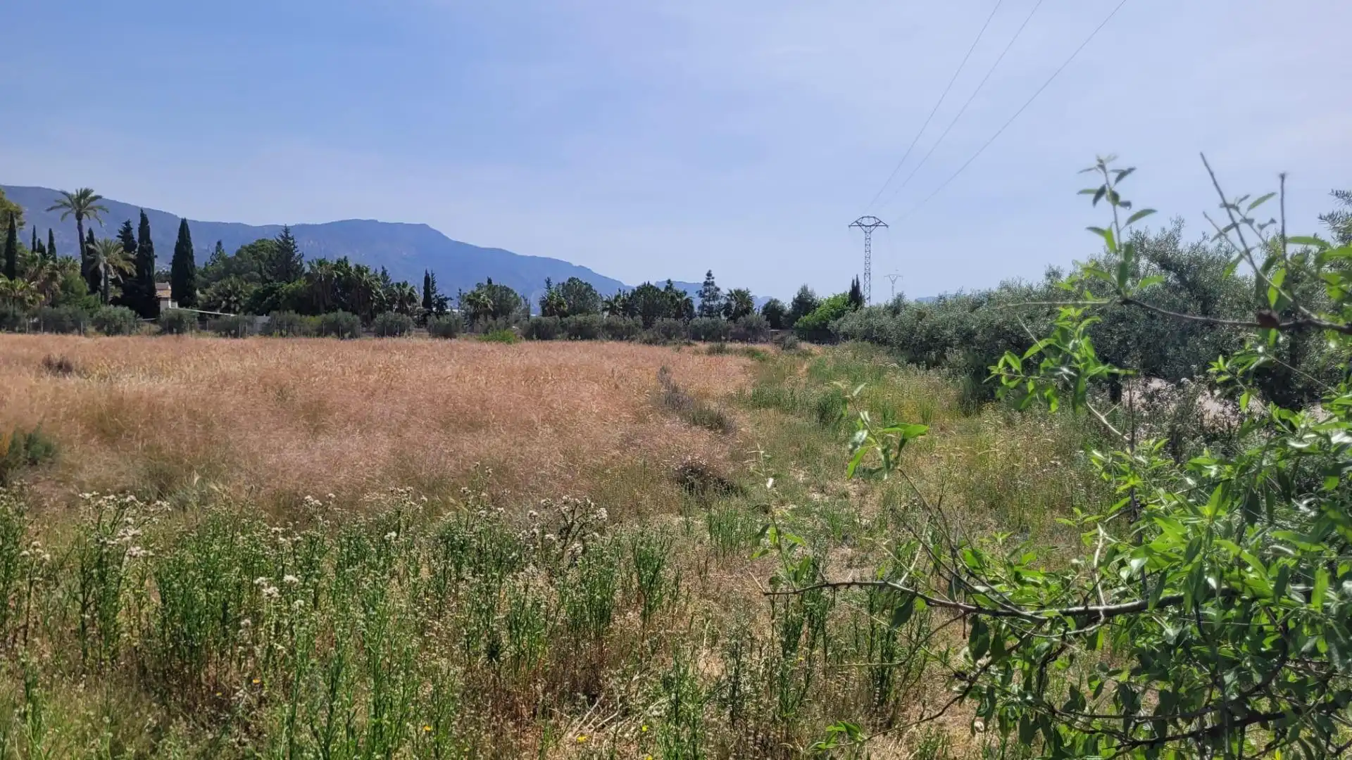 Terreno en venta en Blanca