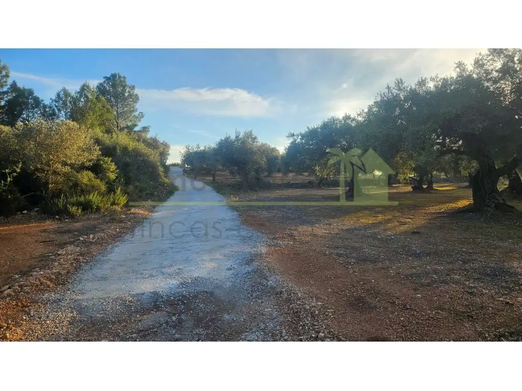 Finca rústica en venta en Canet lo Roig con Jardín privado