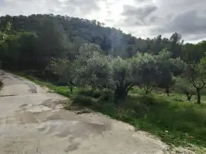 Terreno rustico in vendita a Carrer la Torreta, imagen 8