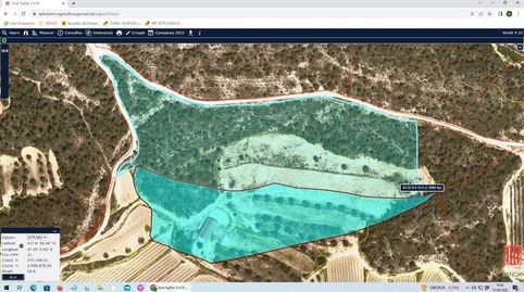FINCA DE 4,7 HECTÁREAS, LLANA, CON UNA NAVE DE 100 M2 Y DOS CASA DE CAMPO PARA REFORMAR., imatge 5