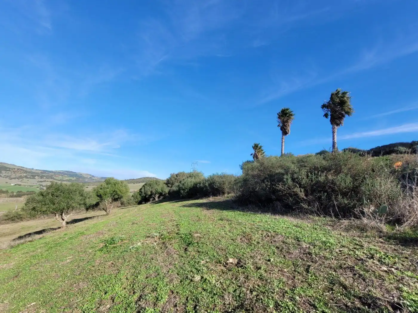 Casa o chalet en venta en Plaza Constitución, San Martín del Tesorillo
