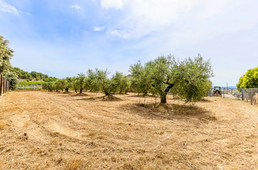 Detached house with garden for sale in Plaça de la Vila, imagen 60