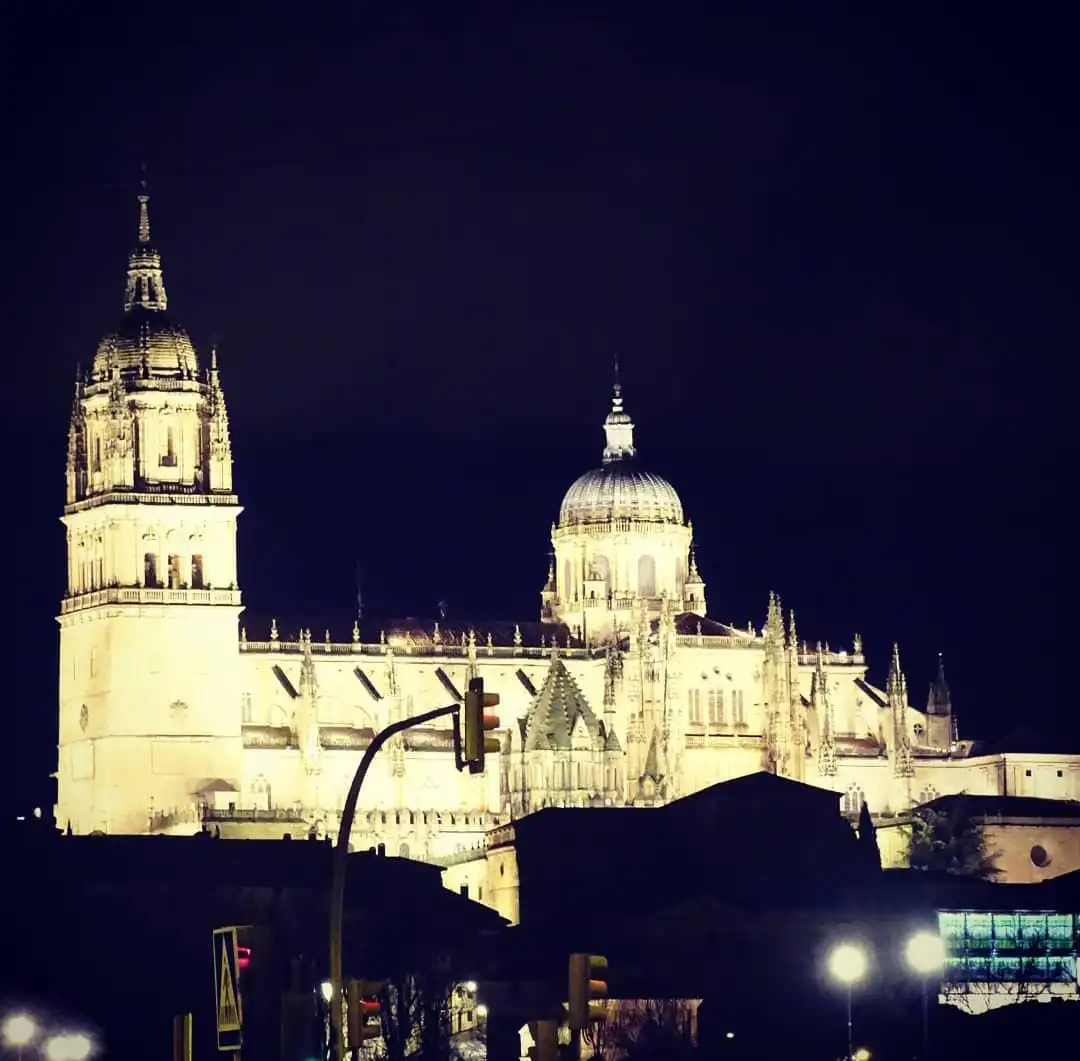 Wohnung zum Verkauf in Paseo del Rector Esperabé, 32, San Esteban - San Cristóbal, Centro