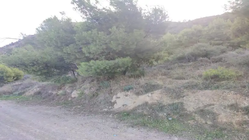 Terrenys i solars en venda a Pedanías Este, imagen 12