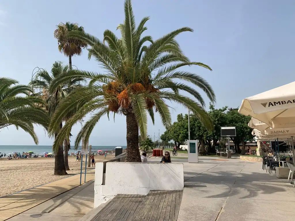 Wohnung mit Terrasse zur Miete in Zona Papa Luna - Platja del Gurugú, imagen 36