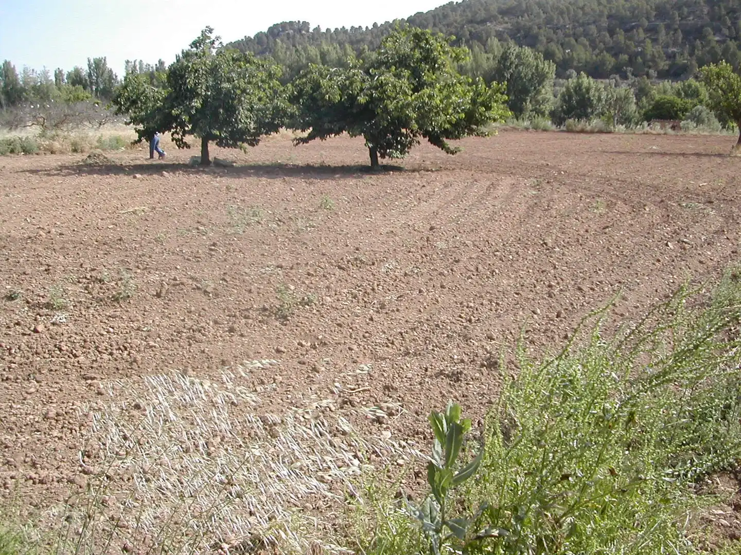 Terreni e lotti in vendita a La Portellada, imagen 4