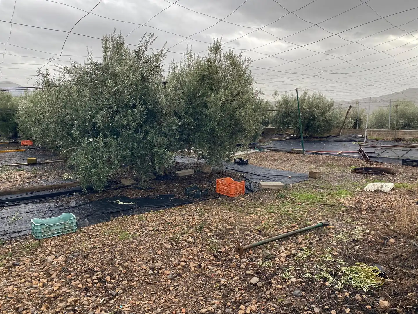 Terreno en venta en Berja