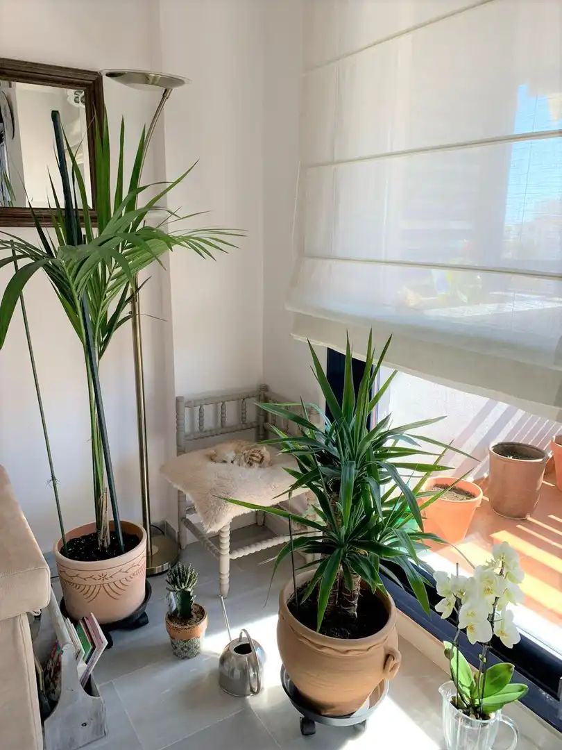Terrasse von Dachboden zum Verkauf in Estepona mit Klimaanlage, Heizung und Terrasse