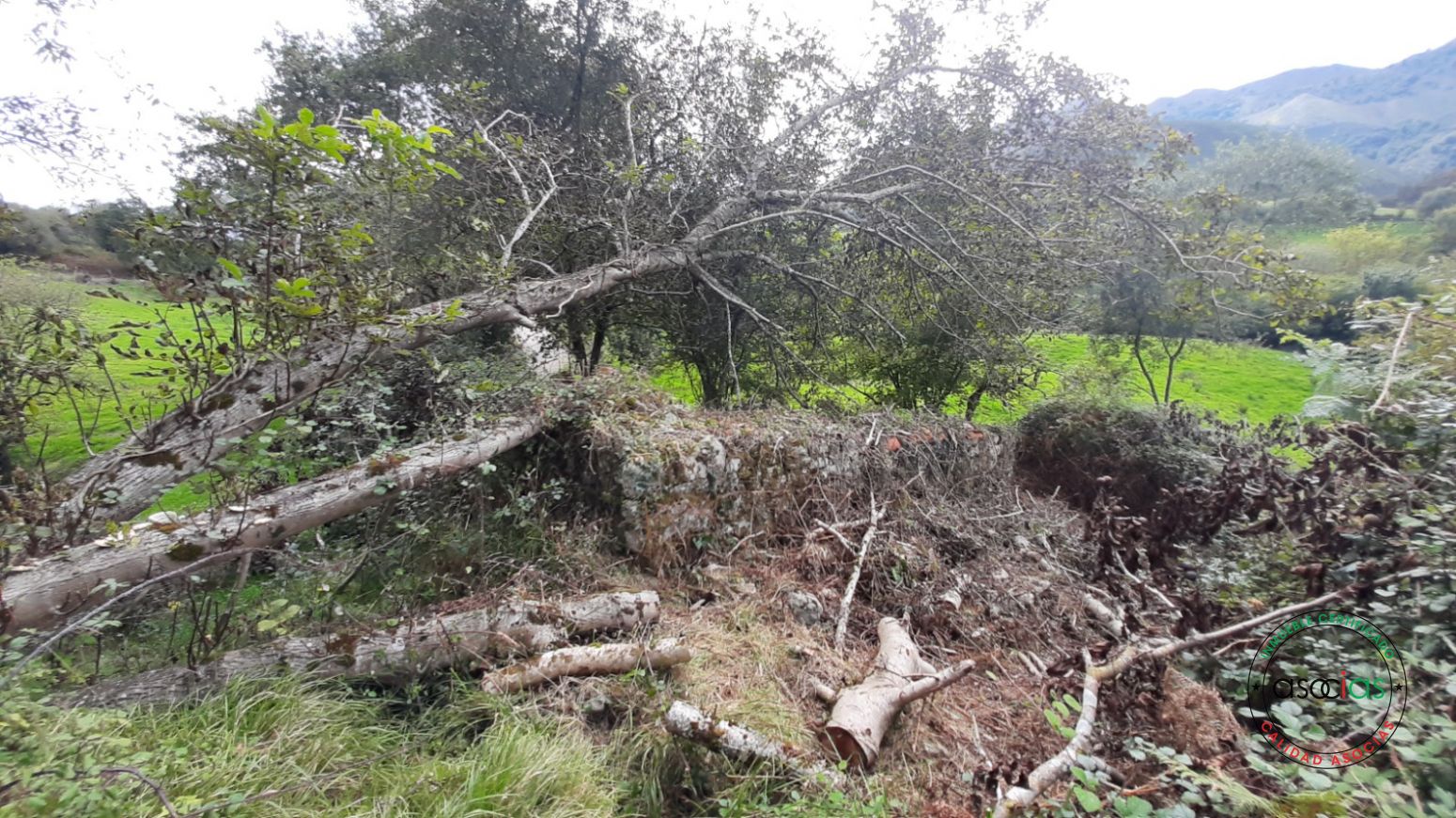 Residencial en venda en Llanes