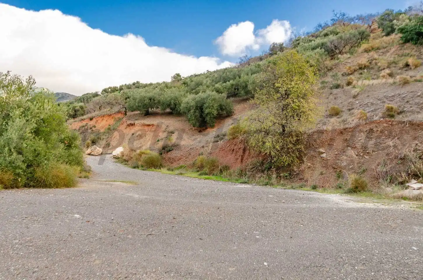 Terreno rustico in vendita a Salares, imagen 6