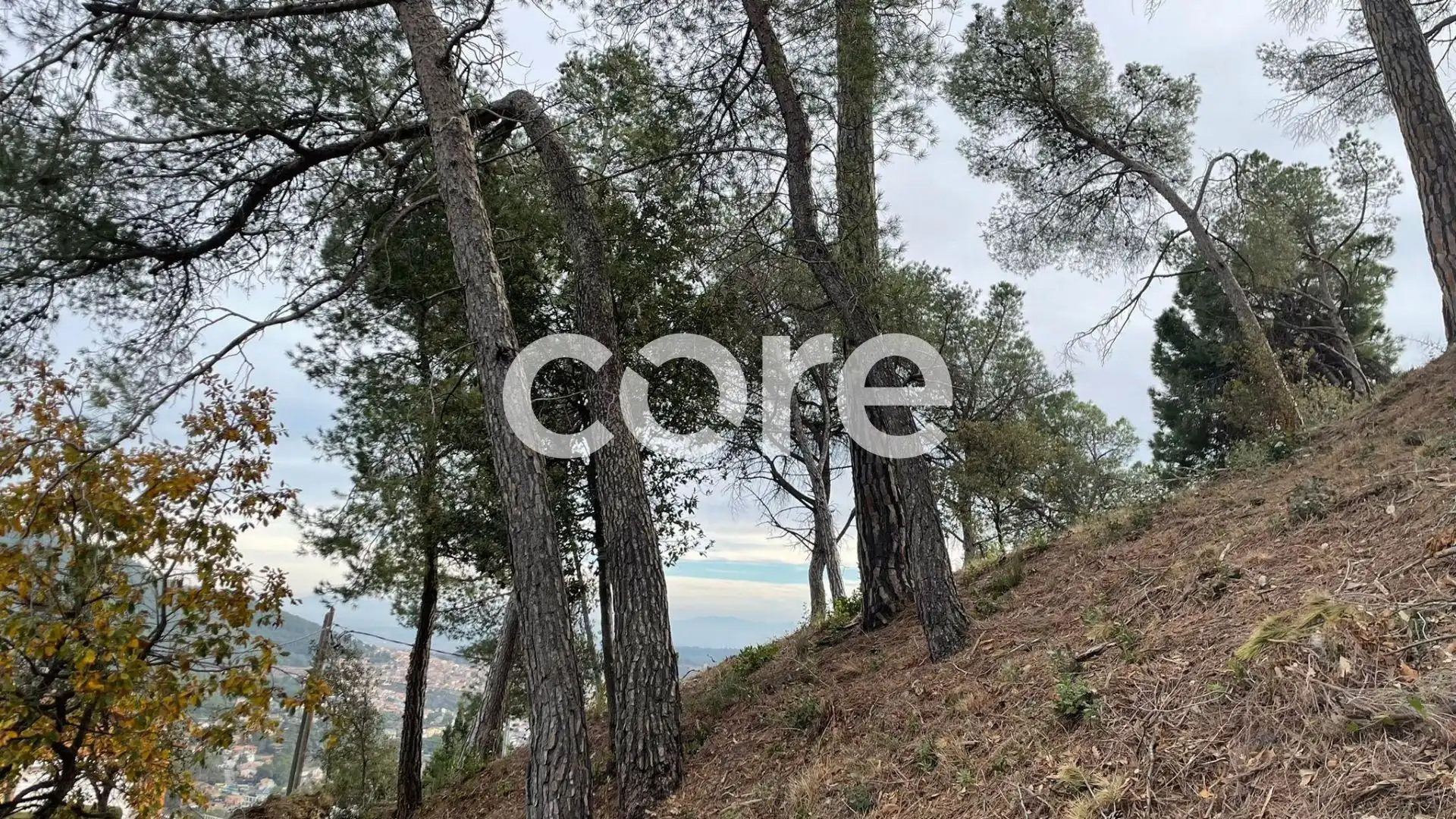 Wohnbaugrundstück zum Verkauf in El Racó - Sant Feliu del Racó, imagen 6