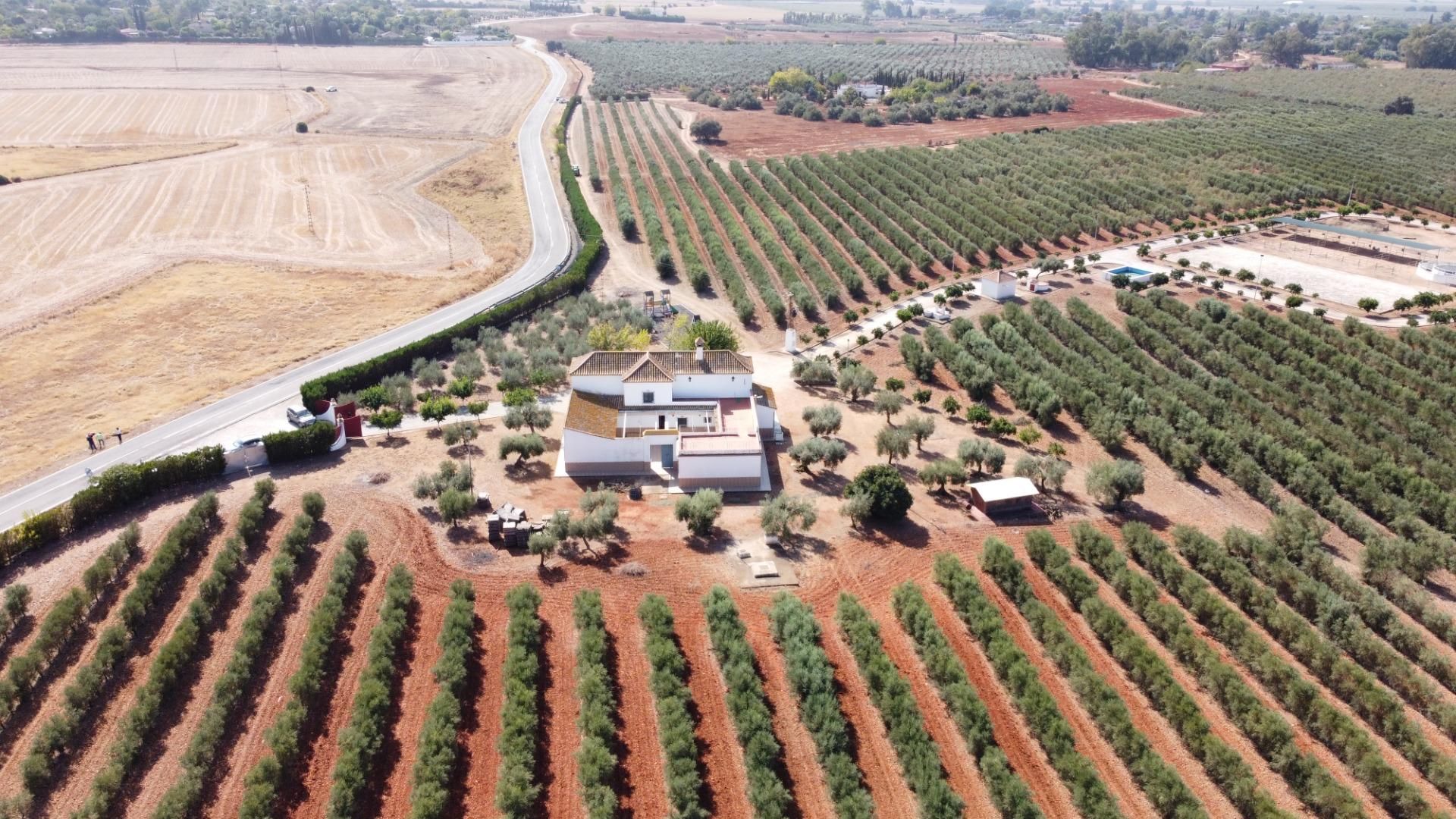 Vista exterior de Finca rústica en venda en Carmona amb Jardí privat, Terrassa i Traster