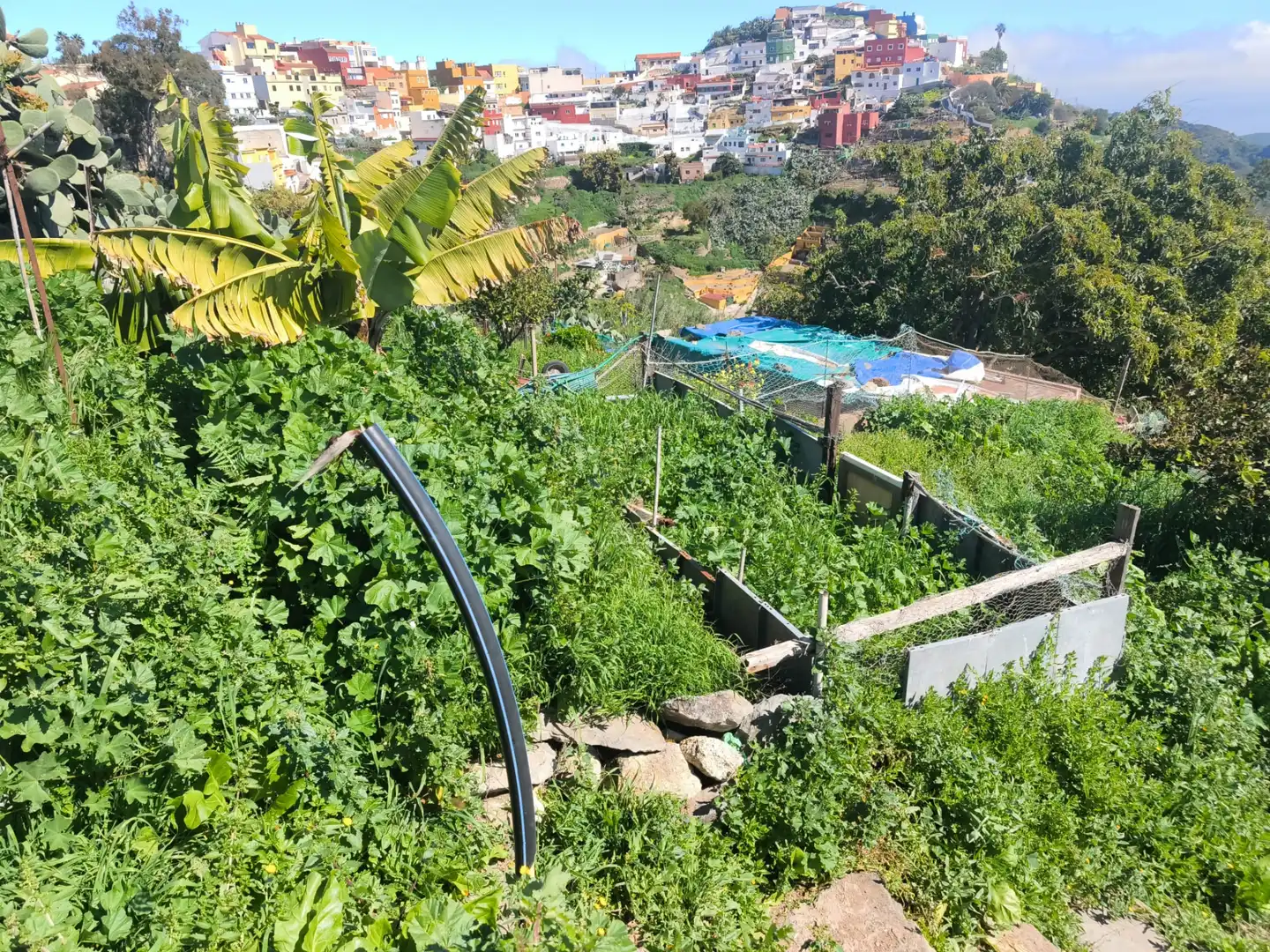 Jardí de Terreny en venda en Santa Brígida