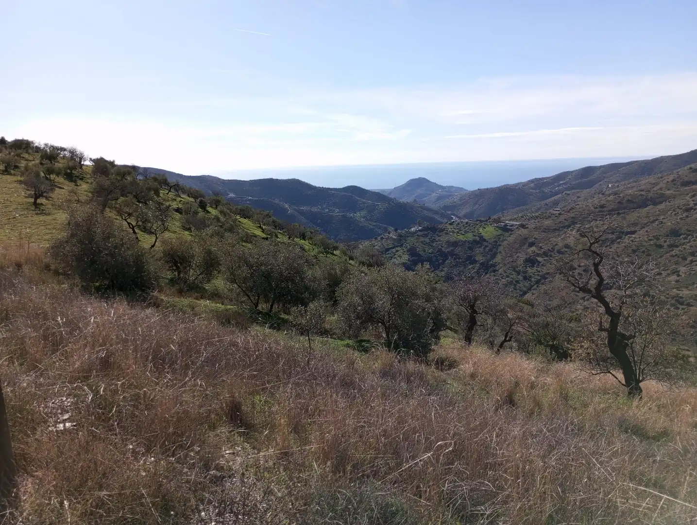 Exterior view of Land for sale in Málaga