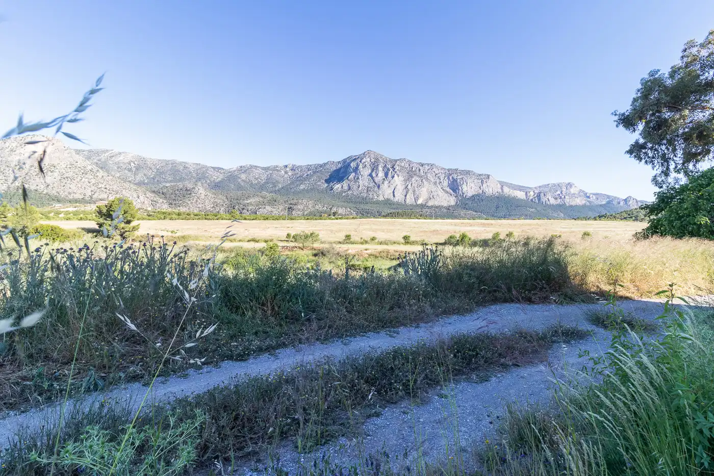 Houses for sale in Mula  with Terrace