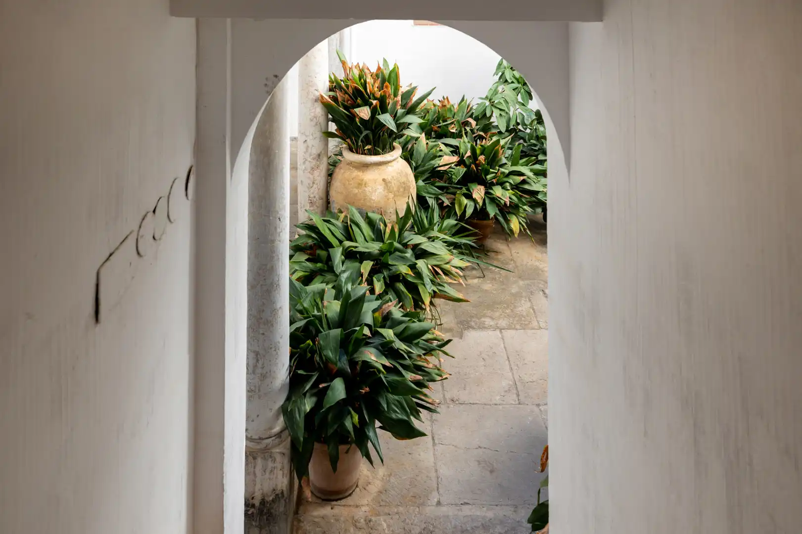 Flat for rent in Calle Bocanegra, 14, Barrio de Albaicín