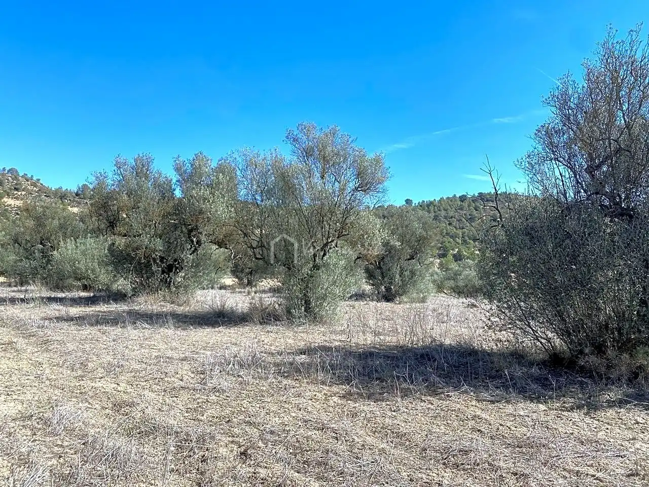 Terrain rustique à vendre à Aixalella, imagen 34