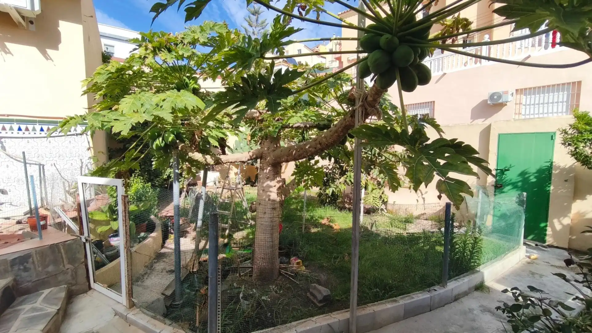 Jardín de Casa o chalet en venta en Málaga Capital