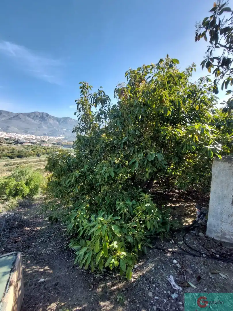 Casa rústica en venta en Molvízar, imagen 9