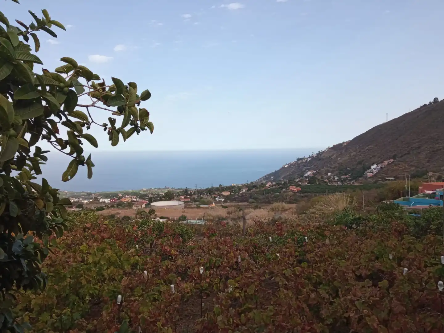 Terreno rustico in vendita a Las Cuevas - Los Gómez, imagen 29