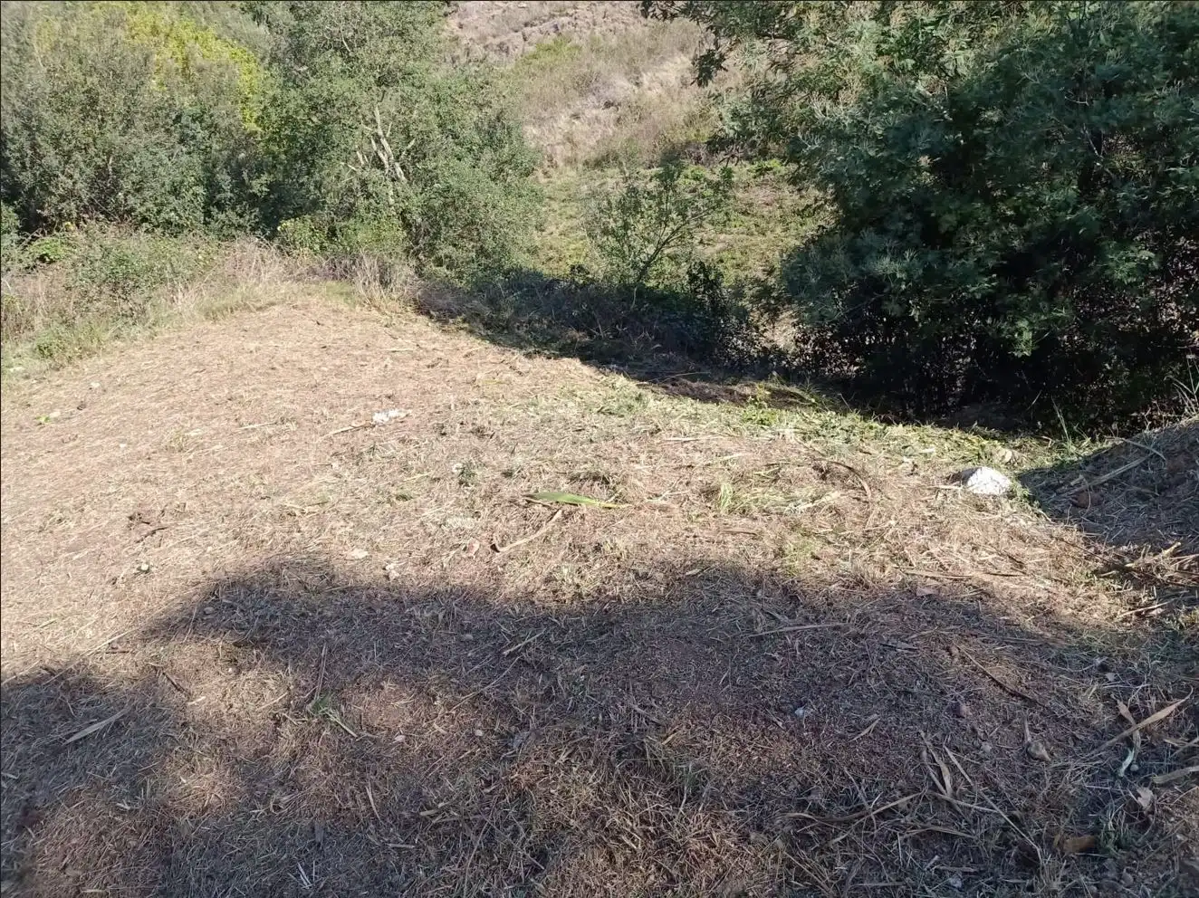 Rustikales Grundstück zum Verkauf in Urb. Residencial Blanes, imagen 5