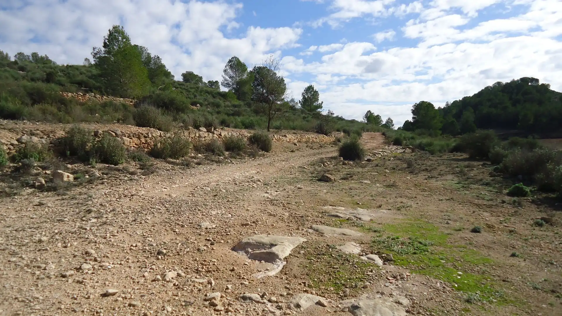 Terreno rústico en venta en Monóvar  / Monòver, imagen 6